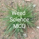 Weed Science Multiple Choice Objective Questions (MCQ)